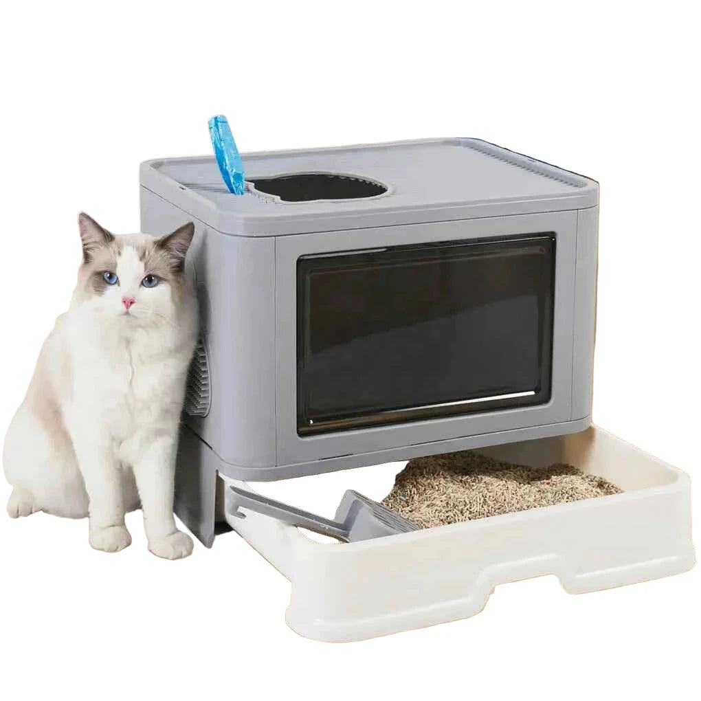 Accessoire pour animaux – modèle optimisé (titre FR) - Miaouwouafcompagnie