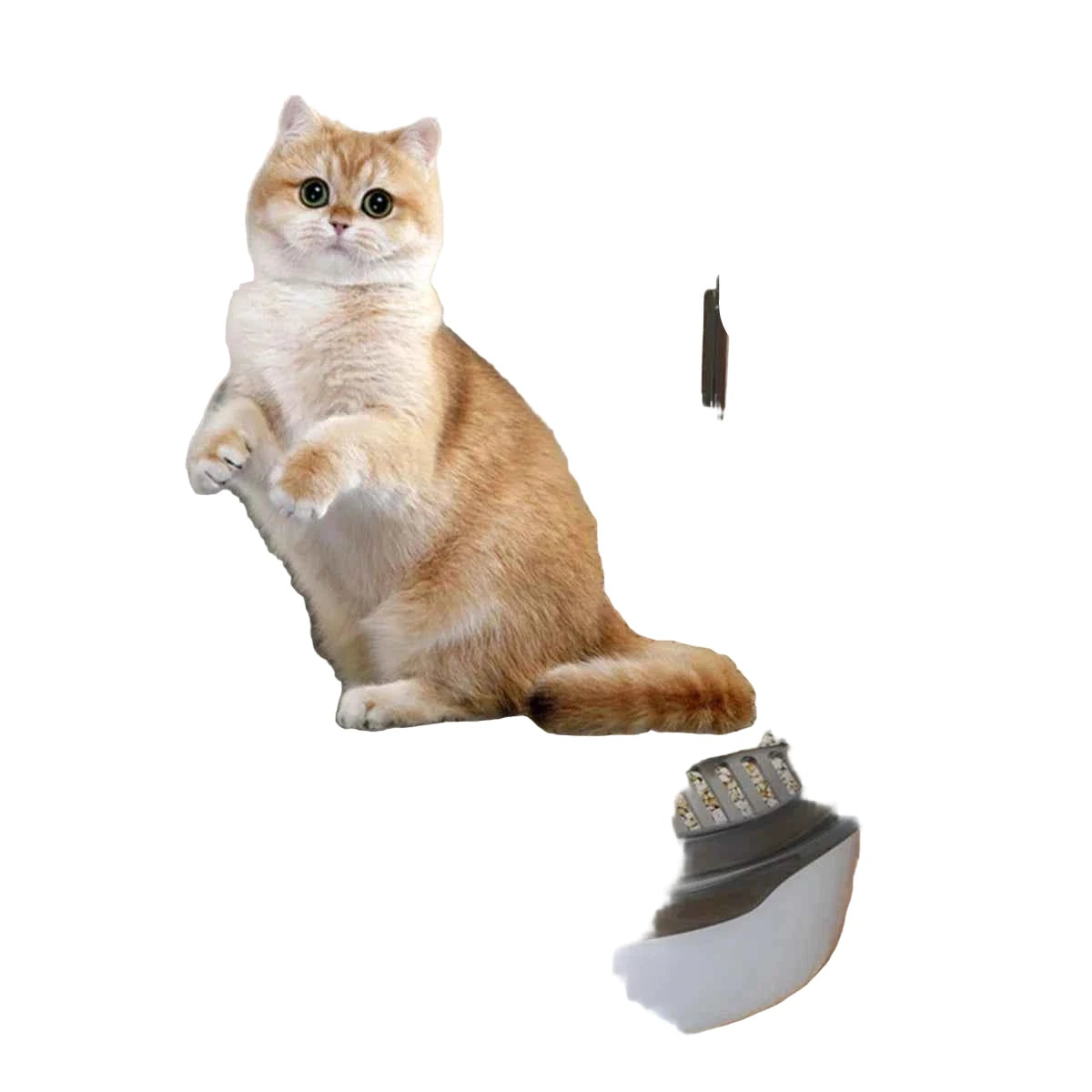 Accessoire pour animaux - Modèle optimisé pour le confort et le style - Miaouwouafcompagnie